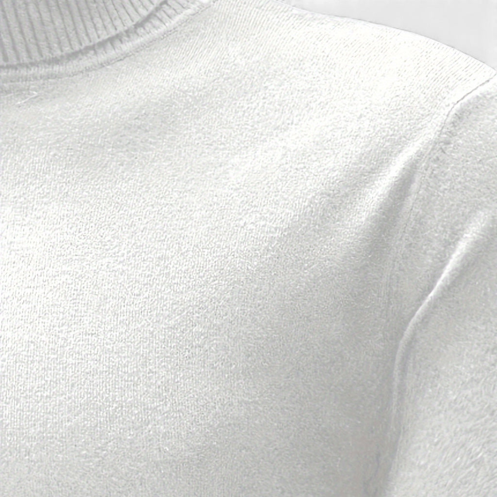Zarenzio | Men's Viscose Blend Turtleneck Sweater