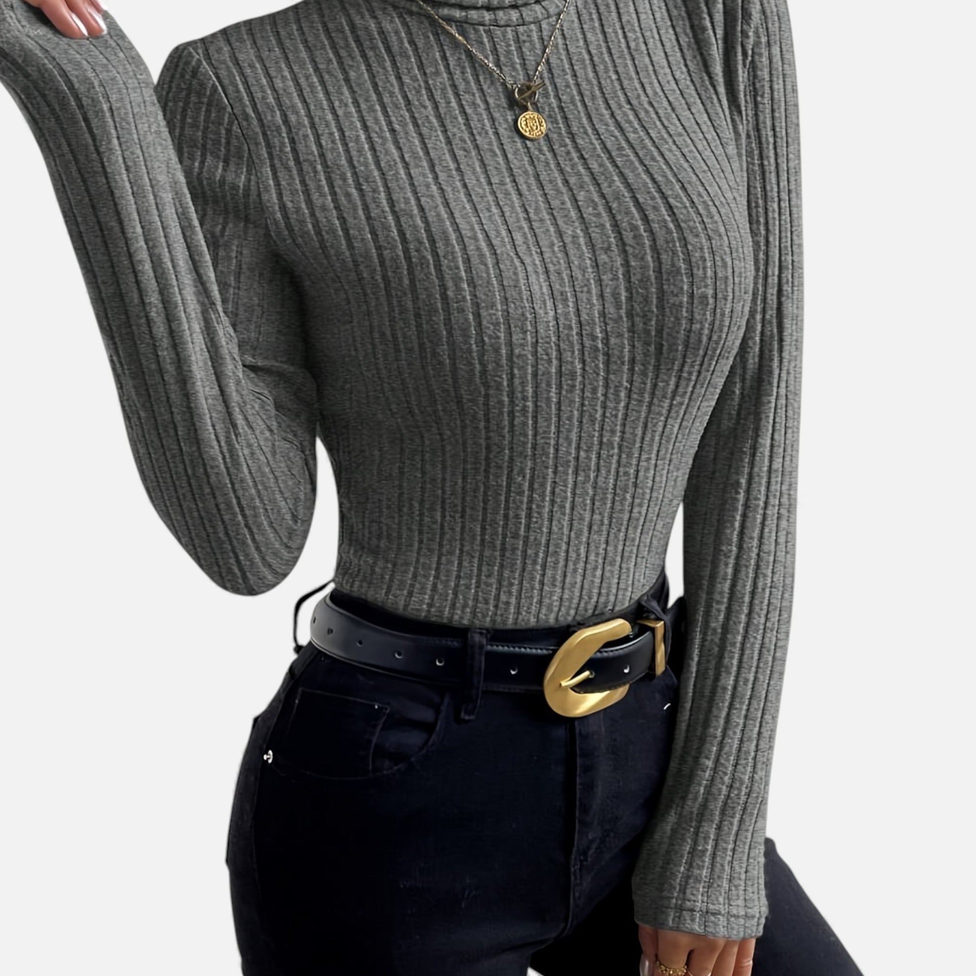 Zarenzio | Women's Polyester Ribbed Turtleneck Sweater